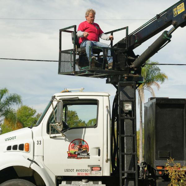 Website-Indian-section-guy-grappleclaw-truck A worker skillfully operates a grapple claw truck, lifting and loading tree debris for efficient cleanup and disposal.