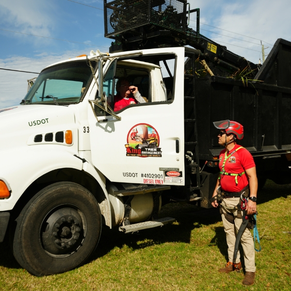 Website-Preservation-section-crew-truck-grappleclaw King Tree Management crew members climbing into a piece of heavy equipment to haul away debris after completing a tree pruning project.