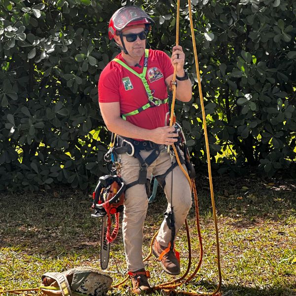 Website-Trimming-section-guy-helmet-harnessed King Tree Management crew member, fully equipped with proper safety gear, prepares to climb a tree for pruning.