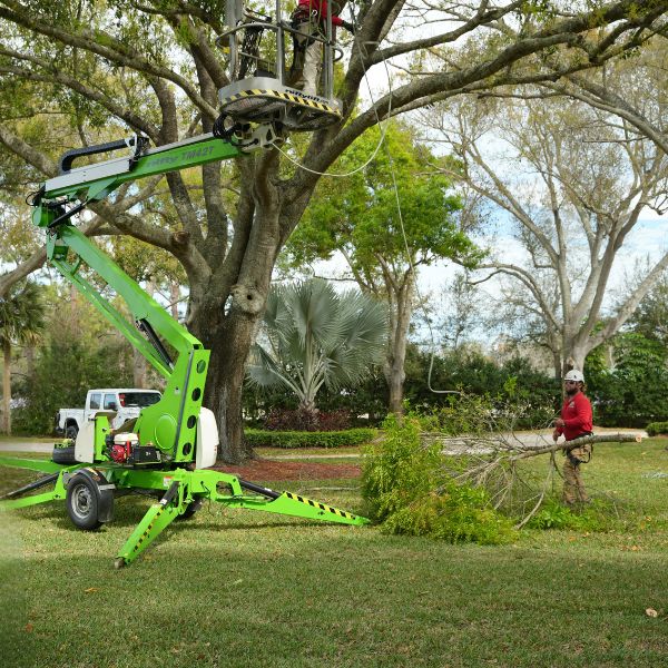 Website-Trimming-section-spiderlift-crew-branch A crew member on a spider lift carefully lowers a large tree branch with a rigging system, handing it off safely to the groundsman below.