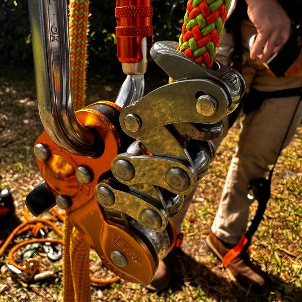Website-Trimming-section-tree-climbing-harness Close-up of a durable climbing harness designed for tree climbers, providing essential safety and support during pruning and removals.