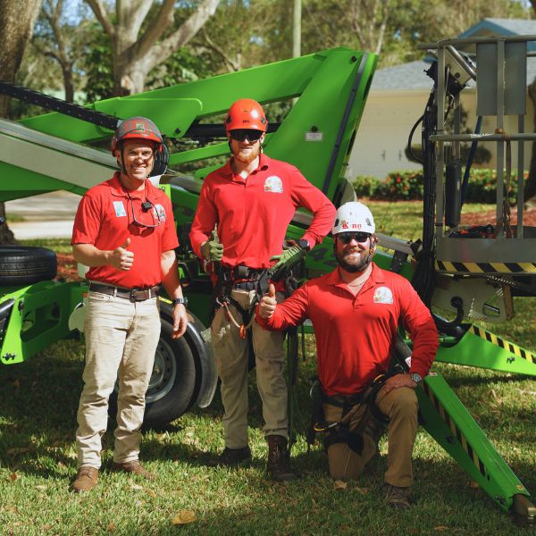 Website-about-section-king-tree-crew (1) Three King Tree Management crew members stand together, smiling and giving a thumbs-up.