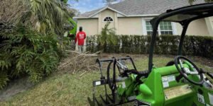 how to dispose of tree branches